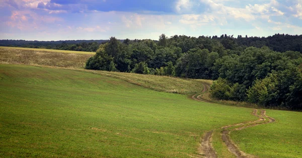 Paesaggio estivo idealistico — Foto Stock