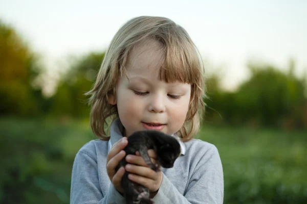 Šťastné dítě s kotětem — Stock fotografie