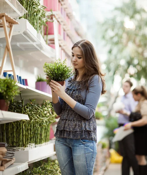 Beauty girl shoping — Stock Photo, Image