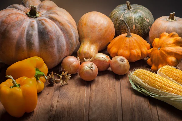 Autumn pumpkins — Stock Photo, Image