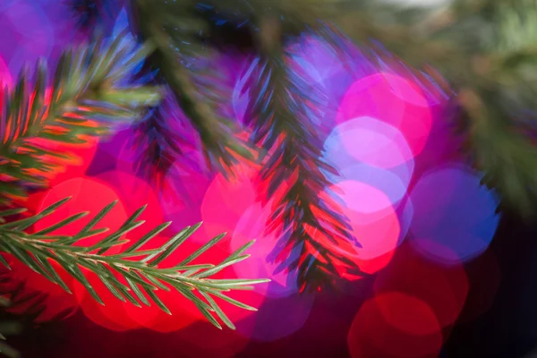 Fir on a background of Christmas — Stock Photo, Image