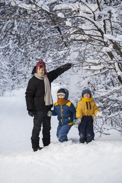 Three happy boys in forest — Stock Photo, Image