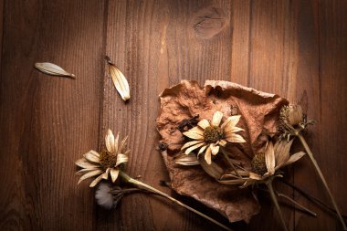 Ahşap üzerine kuru çiçekler