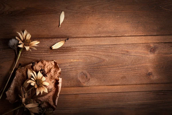 Сушеные цветы на деревянном фоне — стоковое фото