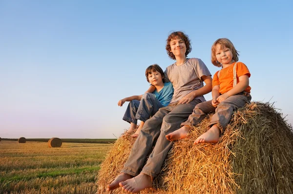 3 pojkar i en höstack i fältet — Stockfoto