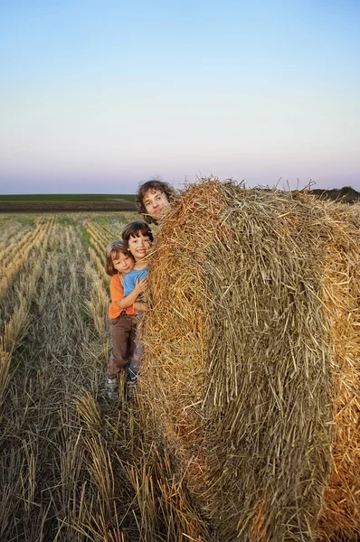 3 jongens in een hooiberg in het veld — Stockfoto