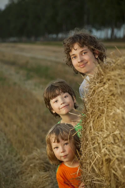 3 pojkar i en höstack i fältet — Stockfoto