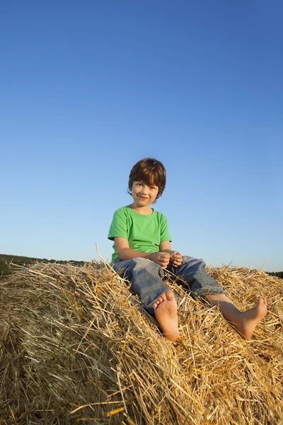 フィールドで干し草の少年 — ストック写真