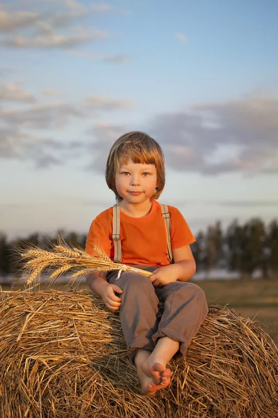 Jongen in een hooiberg in het veld — Stockfoto