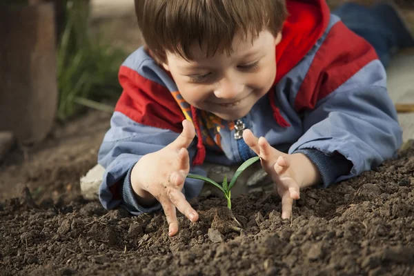 Sprout in children hand — Stock Photo, Image