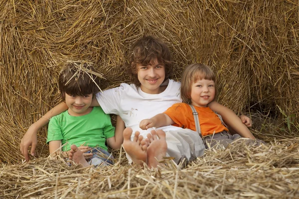 3 boys in a haystack in the field — Stock Photo, Image