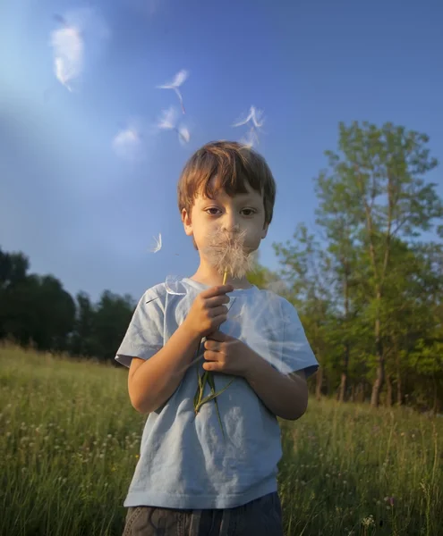 Beauty boy with dandelion — Stock Photo, Image