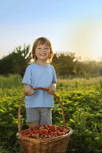 Boy with basket of berries — Stock Photo, Image