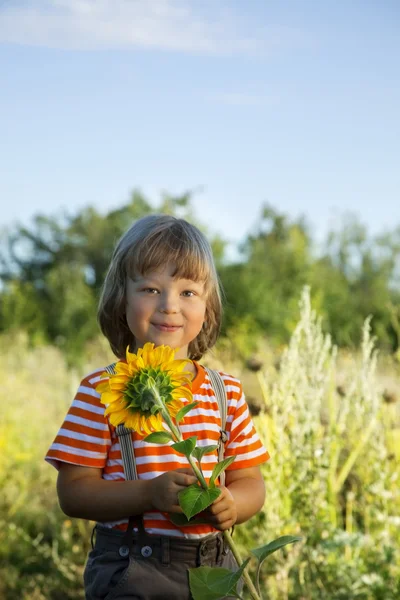 Boy with sunflower standing — Stock Photo, Image