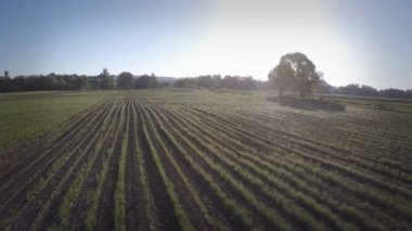 Saha üzerinde uçmak