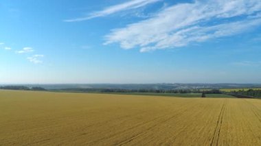 Buğday alanın üzerinde uçan