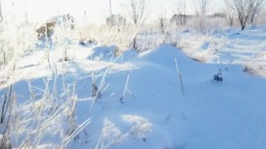 kış manzara yakın çekim