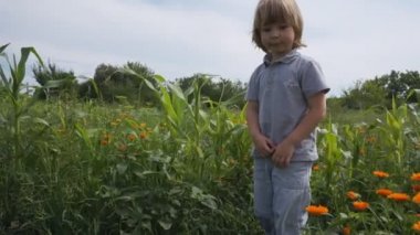 Çocuk bahçede çiçek toplama