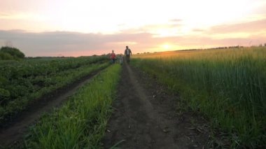 Mutlu aile kırsal yolda yürüyor