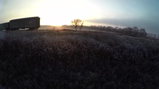 Vagones de ferrocarril en la niebla de otoño — Vídeo de stock