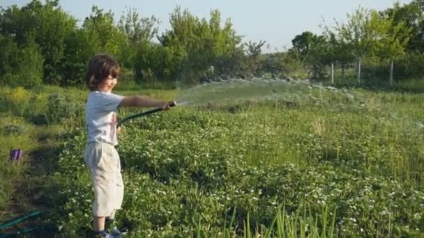 Niño feliz jugando manguera en el patio trasero — Vídeo de stock