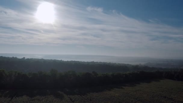 Volo sopra l'alba nebbiosa — Video Stock