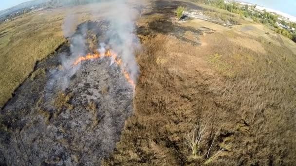 Brûler l'herbe dans le champ 