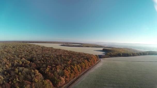 Політ над осіннім лісом і полями — стокове відео