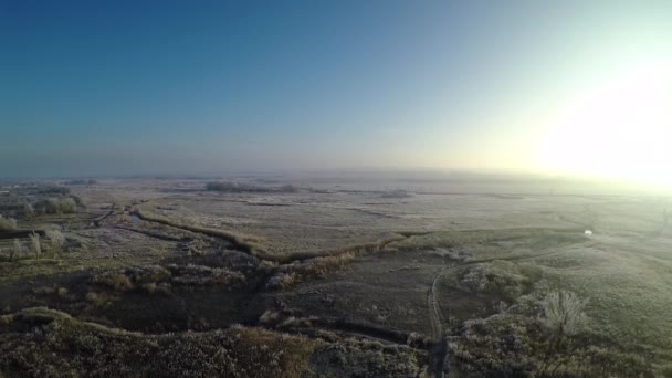 Неміське поле і самотнє дерево восени — стокове відео