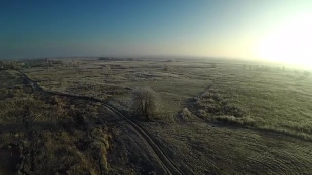 Неміське поле і самотнє дерево восени — стокове відео