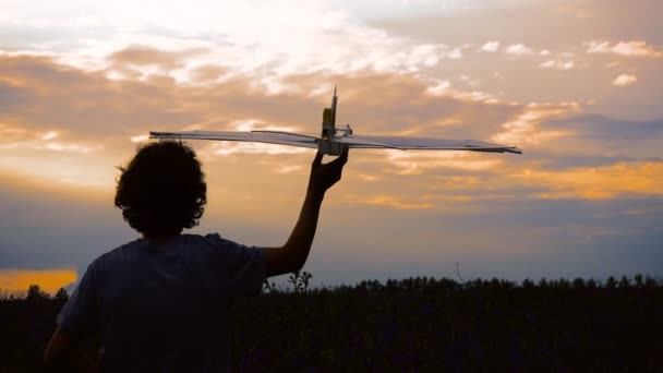 Niño feliz jugando con un avión en un prado — Vídeo de stock