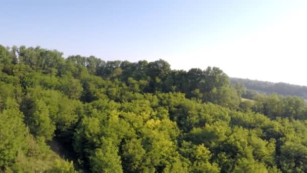 Bosque, tierras de cultivo, amanecer barranco y rayos del sol — Vídeos de Stock
