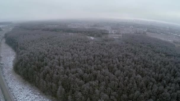 Karla kaplı orman ve kış yol üzerinde uçuş — Stok video