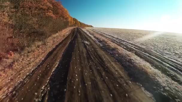 Flug über Wald und Feld im Herbst — Stockvideo