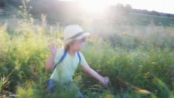 Niño caminando en el bosque — Vídeo de stock