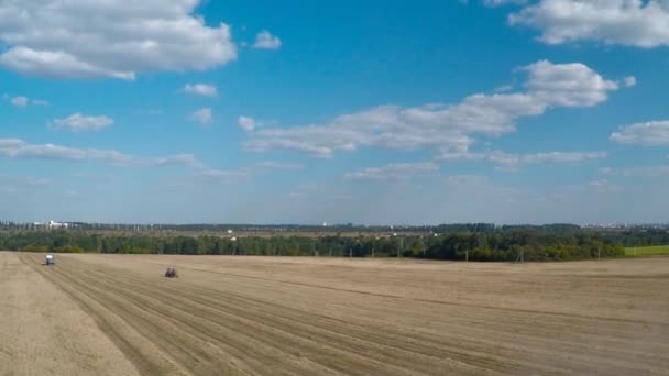 Harvester maait het veld weit — Stockvideo