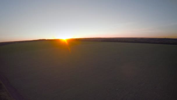 Vuelo sobre el campo de mostaza — Vídeo de stock