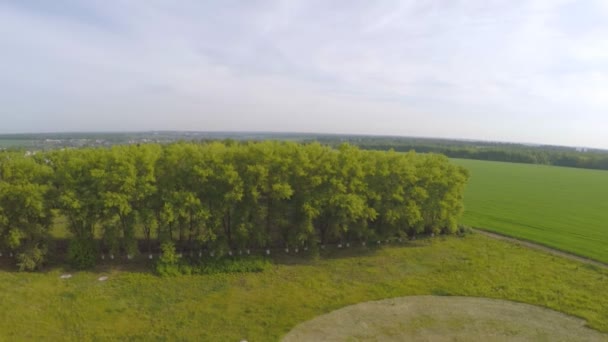 Antiguo molino de viento en un césped verde — Vídeo de stock