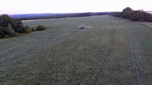 Tractor en pulverización de guisantes de campo — Vídeos de Stock