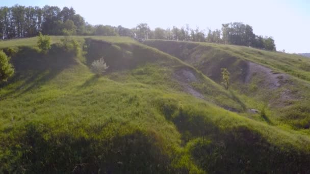 Forest, farmland, ravine dawn and sun rays — Stock Video