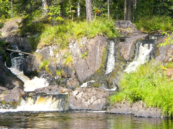 Waterfall in the forest — Stock Photo, Image