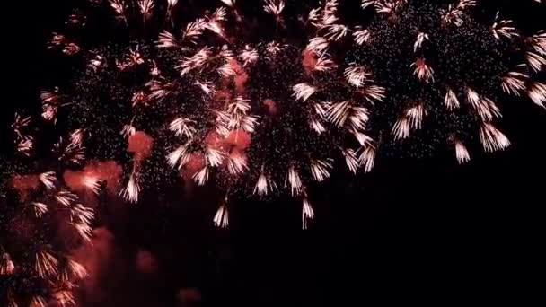 Fond Real Feux Artifice Feux Artifice Dans Ciel Nocturne Brillant — Video