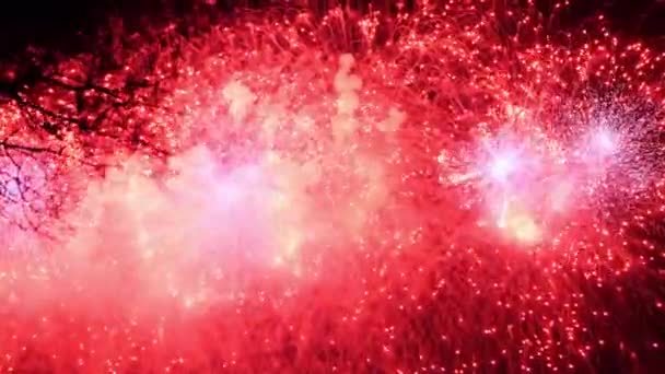 真正的烟火背景 在夜空中放焰火 发光的火花 新年前夕的烟火庆祝活动 五彩缤纷的新年烟火 — 图库视频影像