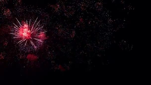 Πραγματικό Φόντο Πυροτεχνημάτων Λαμπερά Πυροτεχνήματα Στον Νυχτερινό Ουρανό Λαμπερές Σπίθες — Αρχείο Βίντεο