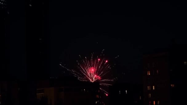 Fond Real Feux Artifice Feux Artifice Dans Ciel Nocturne Brillant — Video