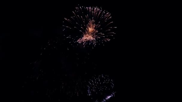 4K本物の花火の背景 夜空に輝く花火 輝く輝き 大晦日の花火のお祝い カラフルな新年花火 — ストック動画