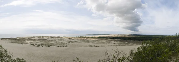 Curonian 침을, 리투아니아, 유럽에서 모래 언덕 — 스톡 사진