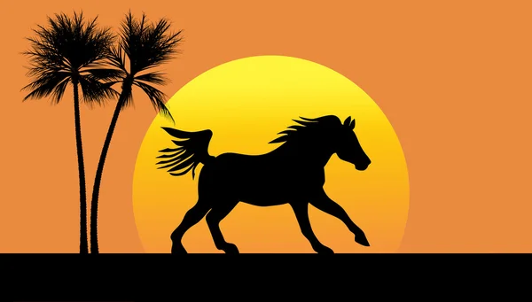 Silhouette d'un cheval galopant contre le soleil couchant, avec deux palmiers — Photo