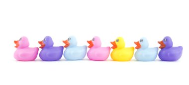 Rubber ducklings in a row, on white - concept of leadership clipart