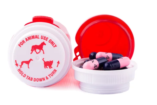 Лекарства для животных с бутылками, на белом фоне — стоковое фото